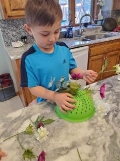 Spring Flower Activity - New Horizon Academy