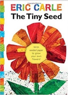 The Tiny Seed by Eric Carle children's book