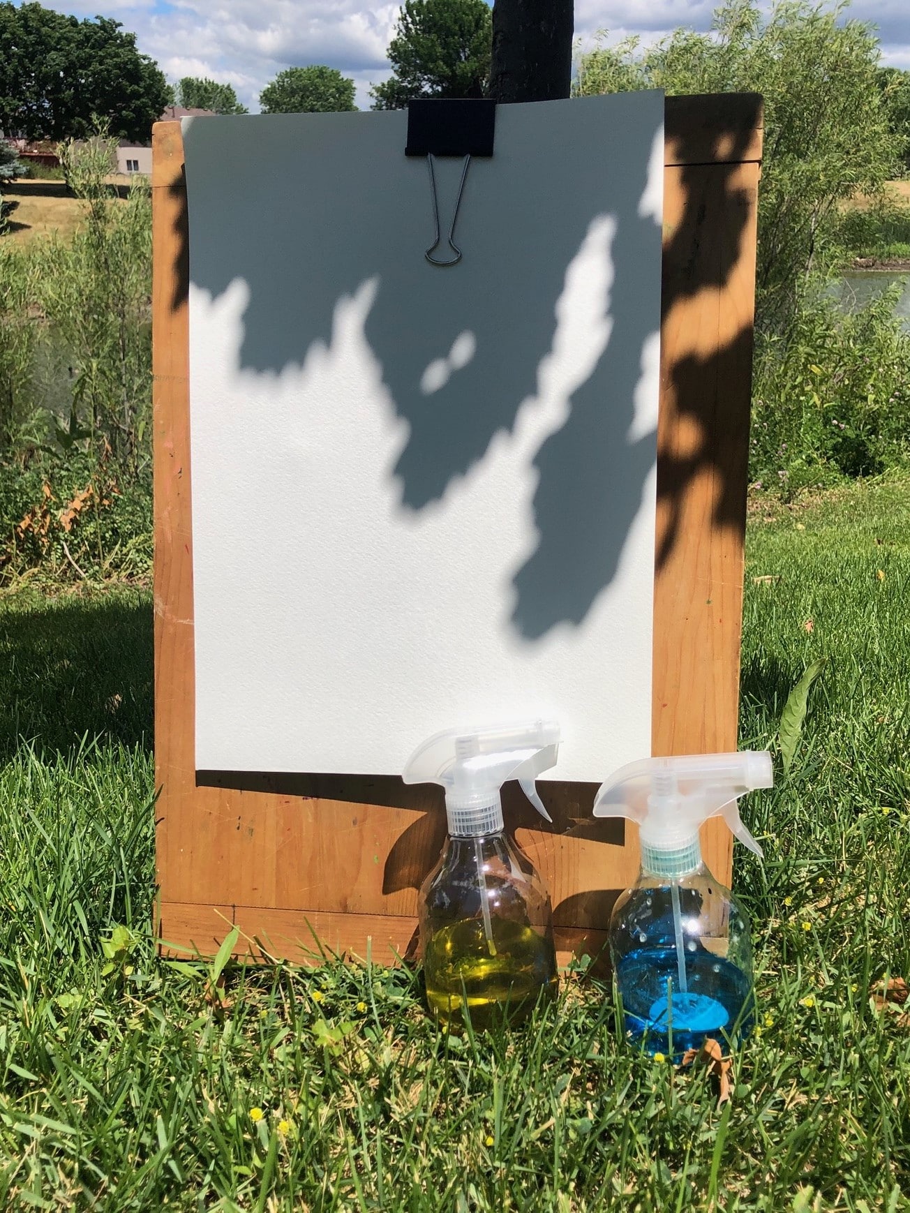 Colorful Spray Bottle Painting Activity New Horizon Academy