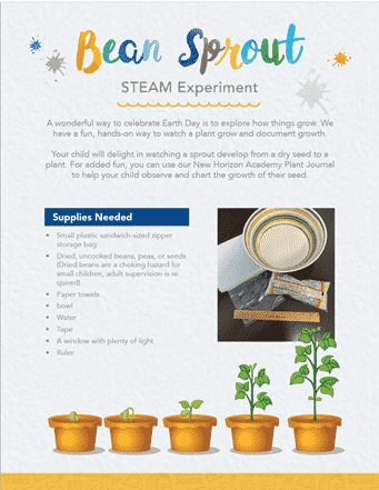 Bean Sprout STEAM Experiment instructions