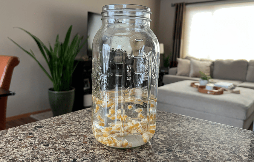 Dancing corn in a jar