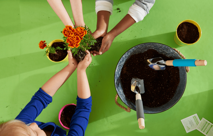 children planting marigolds at daycare