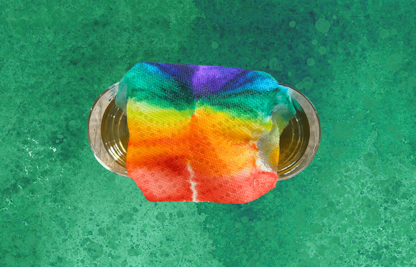 Colorful rainbow paper towel science experiment