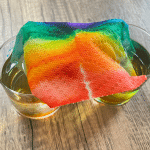 rainbow colors spreading across paper towel between two cups to make a grow a rainbow STEAM experiment